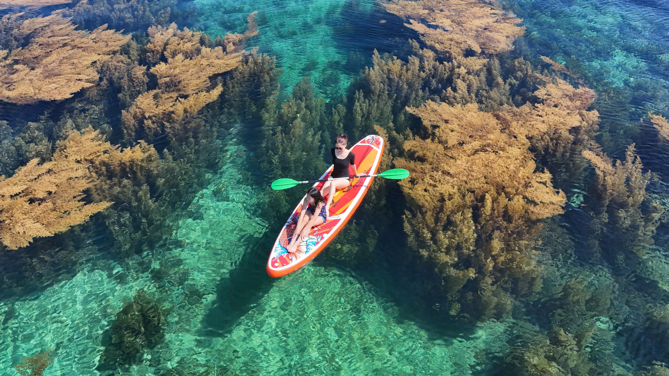 Quy Nhơn 2N1Đ : Kỳ Co - Eo Gió - Hòn Khô - City Tour